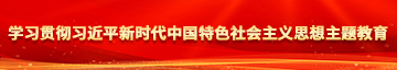 ′欧美操逼大全学习贯彻习近平新时代中国特色社会主义思想主题教育